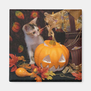 Welcoming Autumn / Halloween Kitten Magnet