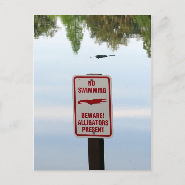 Welcoming Committee for Florida Postcard (Front)