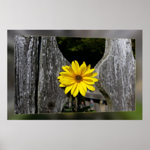 Welcoming yellow flower poster