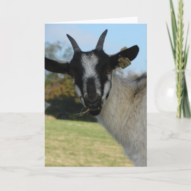 Well Hello There Card (Front)