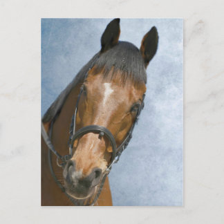 Well Hello There Postcard