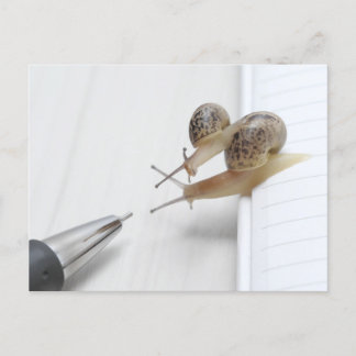 We'll help you study postcard