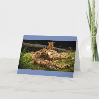 Well I can't see it! Card