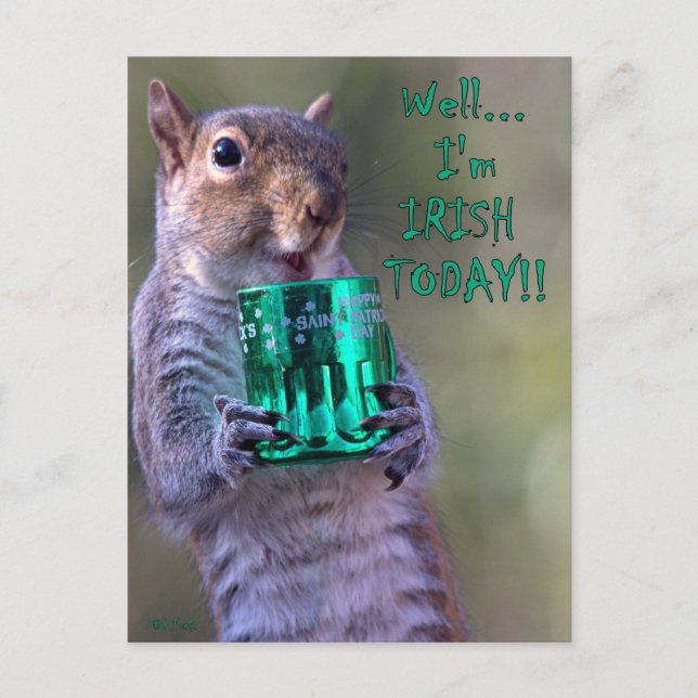 "Well... I'm IRISH TODAY!" Postcard (Front)