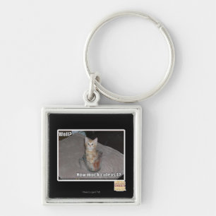 Well? Keychain