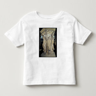 Well of Moses Toddler T-shirt