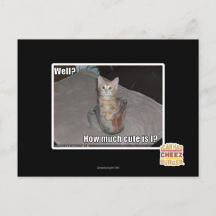 Well? Postcard