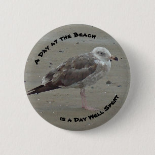 Well Spent Day at Beach Seagull Photo Shore Bird 2 Inch Round Button