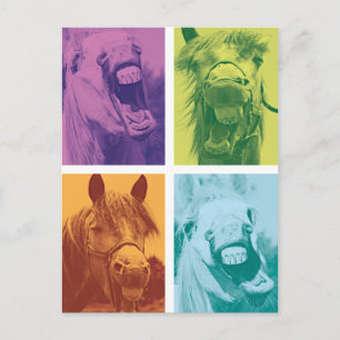 Wellcoda Funny Animal Laugh Crazy Horse Postcard