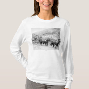 Wells Fargo Express Company T-Shirt