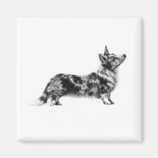 Welsh Cardigan Corgi magnet