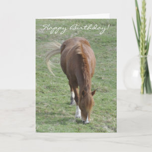 Welsh cob birthday card