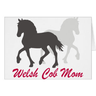 Welsh Cob Mom
