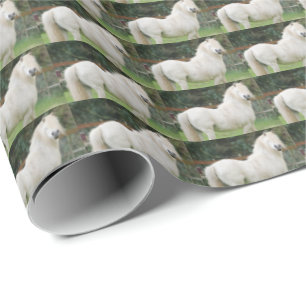 Welsh Cobb Pony Horse Wrapping Paper
