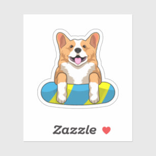 Welsh Corgi at Swimming with Swimming board