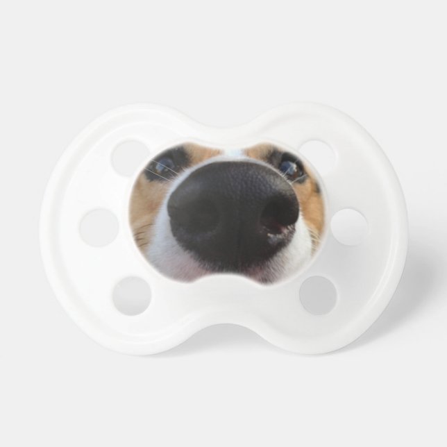Welsh Corgi Dog Nose Collection Pacifier (Front)