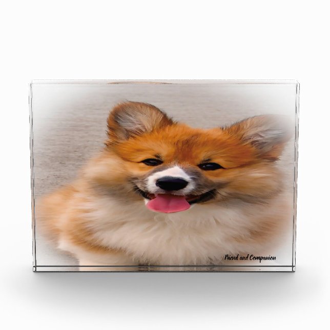 Welsh Corgi Dog. Photo Block (Front)