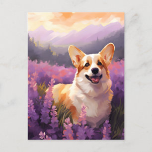 Welsh Corgi in Lavender field Postcard