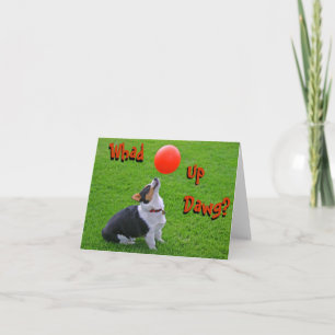 Welsh Corgi Note Card: Whad Up Dawg? Card