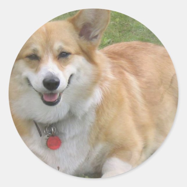 Welsh Corgi Sticker (Front)