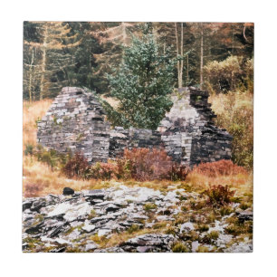 WELSH COTTAGES TILE