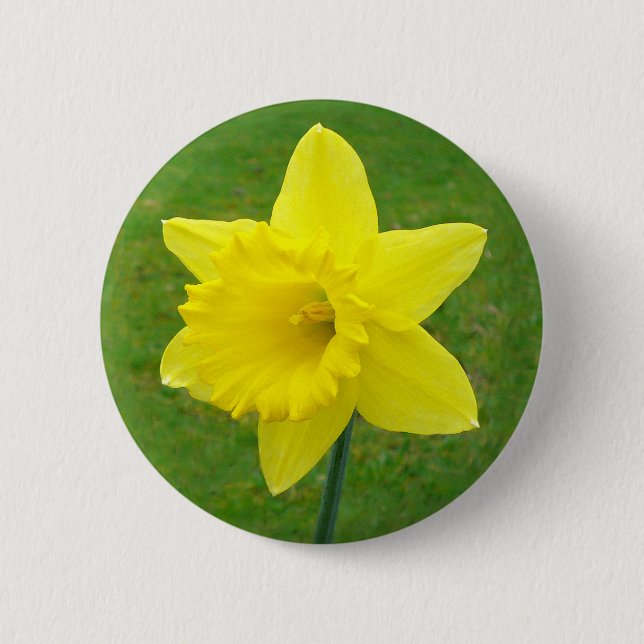 Welsh Daffodil 2 Inch Round Button (Front)