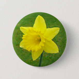 Welsh Daffodil 2 Inch Round Button