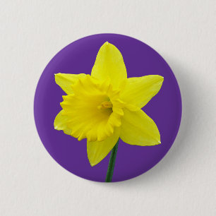 Welsh Daffodil - II 2 Inch Round Button