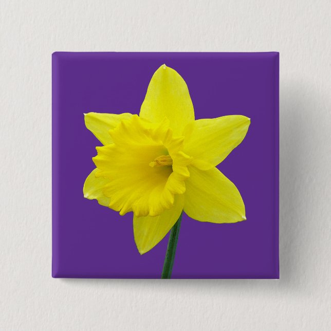 Welsh Daffodil - II - Square 2 Inch Square Button (Front)