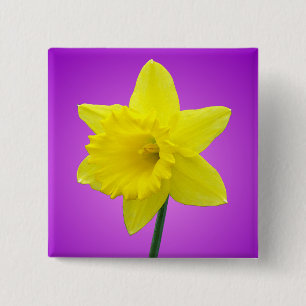 Welsh Daffodil - III 2 Inch Square Button