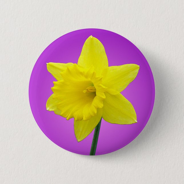 Welsh Daffodil - III - Round 2 Inch Round Button (Front)