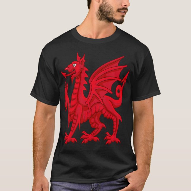 Welsh Dragon Cymru Flag Cardiff Welsh T-Shirt (Front)