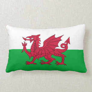 Welsh dragon flag lumbar pillow