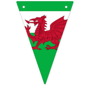 Welsh Dragon ~ Flag of Wales