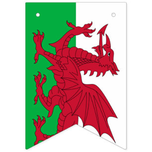 Welsh Dragon ~ Flag of Wales