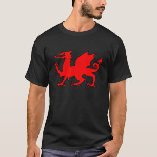 Welsh Dragon Flag, Wales Dragon Flag, England T-Shirt