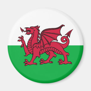 Welsh Dragon Magnet