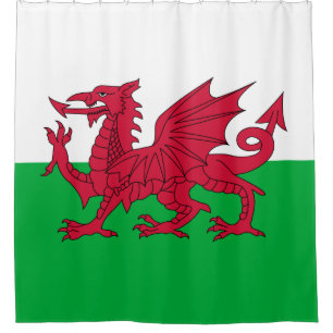 Welsh Flag