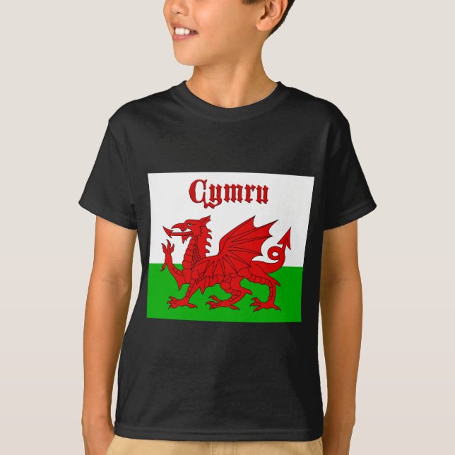 Welsh Flag Cymru T-Shirt (Front)