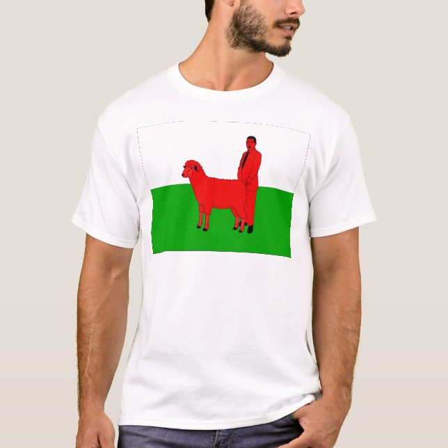 Welsh Flag Spoof T-Shirt (Front)
