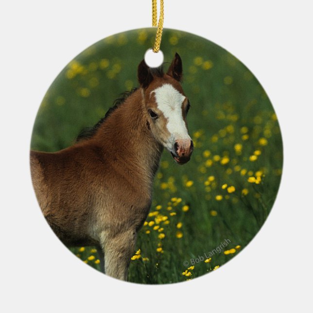 Welsh Foal Ceramic Ornament (Front)