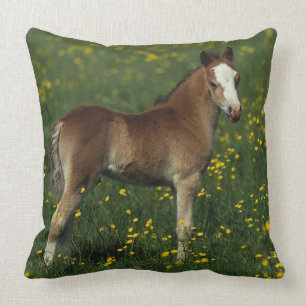 Welsh Foal Throw Pillow