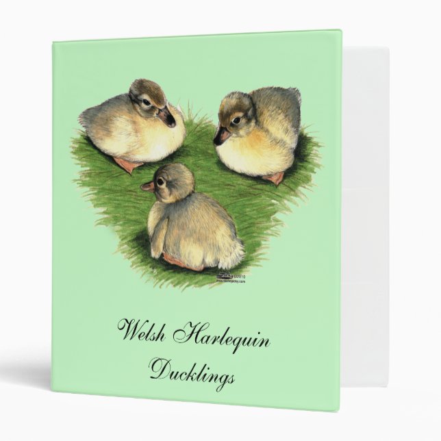 Welsh Harlequin Ducklings Binder (Front/Inside)