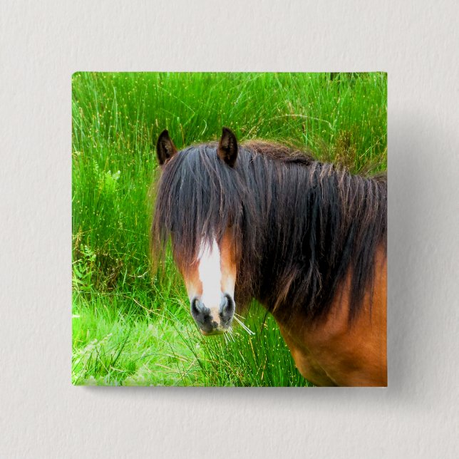 WELSH MOUNTAIN PONY 2 INCH SQUARE BUTTON (Front)
