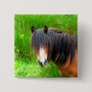 WELSH MOUNTAIN PONY 2 INCH SQUARE BUTTON