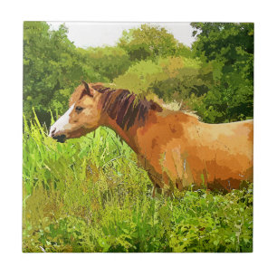 WELSH MOUNTAIN PONY TILE