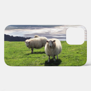 WELSH MOUNTAIN SHEEP iPhone 12 CASE