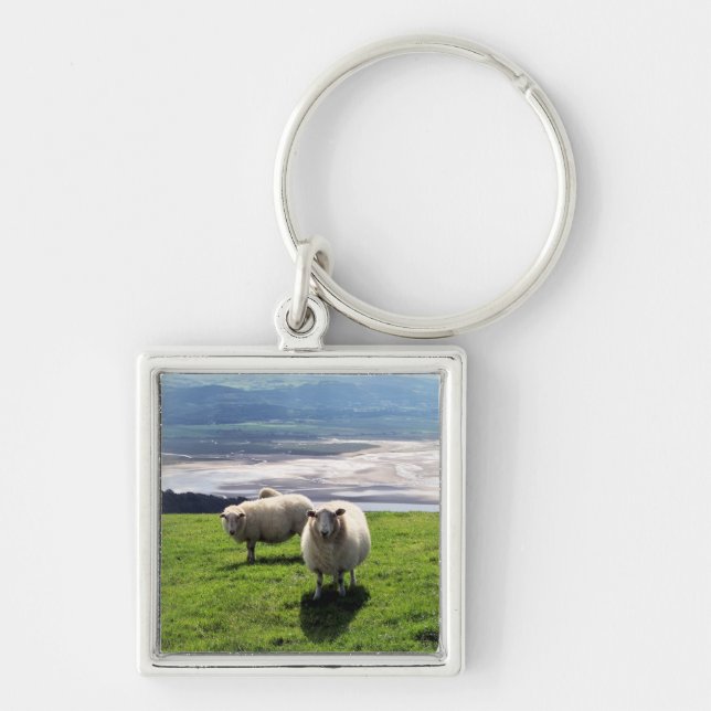 WELSH MOUNTAIN SHEEP KEYCHAIN (Front)