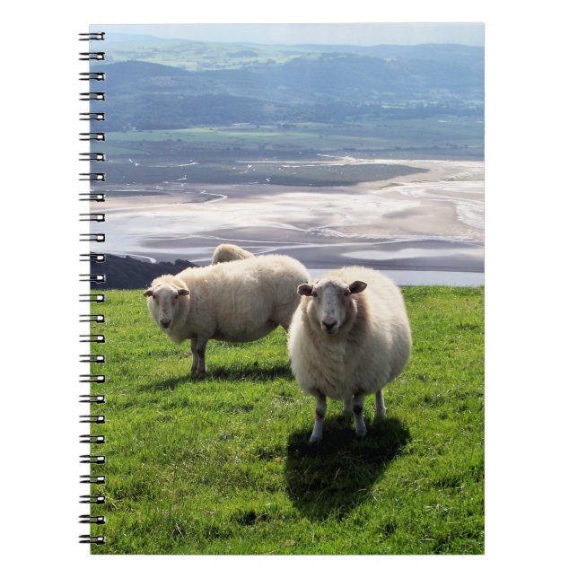 WELSH MOUNTAIN SHEEP NOTEBOOK (Front)