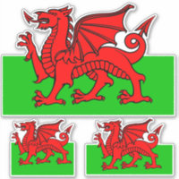 Welsh National Flag Contour